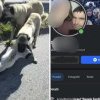 Bestia s-a lăudat cu imaginile horror pe faceboook FOTO: Bărbat din Bogdan Vodă, reţinut după ce câinele lui a ucis un altul
