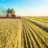 COMPANII AGRICOLE Țări din care provin firmele străine din domeniul agricol din România