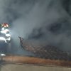 ISU Satu Mare Incendiu în localitatea Culciu Mic
