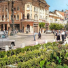 ”Cine recunoaște zona din Cluj?” Pare a fi ceva oraș francez de pe coastă, plin cu verdeață și plante superbe