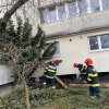 Un brad a căzut peste un balcon din cartierul Mărăști - VIDEO și FOTO