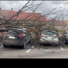 Vântul a făcut prăpăd în Cluj-Napoca! Un copac a căzut peste trei mașini - VIDEO