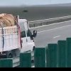 Băcăuan filmat circulând cu camion cu lemne pe contrasens pe Autostrada A7 – VIDEO