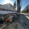 Ecologie dusă la extrem: Copaci tăiați în Parcul Cancicov pentru a face loc bicicletelor