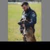Poliția Română caută iubitori de animale pentru noi agenți și conducători de câini!
