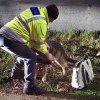 Un tânăr care plecat de la domiciliu cu intenții suicidale, găsit de polițiști cu câinele de urmă