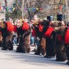 Ursul lui Gavrilă din Asău merge în Bulgaria