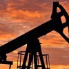 CEO-ul Saudi Aramco: Tranziţia energetică eşuează, lumea ar trebui să renunţe la ”fantezia” de a elimina treptat petrolul