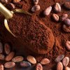 Tona de cacao a ajuns la un preţ record, 10.000 de dolari