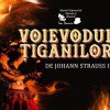 „Voievodul Țiganilor” - Destinul împlinit al unui voievod și al unei țigănci, o poveste despre dragoste și revenire”, pe scena Teatrului Național de Operetă și Musical “Ion Dacian”