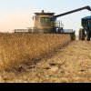 Cât au scăzut exporturile de cereale ale României