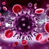 Un „foarfece” pentru HIV a dat rezultate în laborator