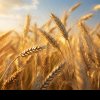 Cei 27 membri ai Uniunii Europene continuă să fie divizați în privința restricțiilor ce trebuie impuse exporturilor de cereale ale Ucrainei