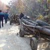 Atac în pãdure: un lucrãtor forestier a fost bãtut, iar utilajele distruse