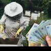 Guvernanții vin în sprijinul apicultorilor care au suferit pierderi anul trecut