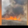 Un puternic incendiu de vegetaţie în Delta Neajlovului a fost stins de pompieri după 12 ore de intervenție