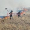 UPDATE: VIDEO | Incendiul din tânăra pădure de peste 100 de hectare de la Stănilești, realizată din bani europeni, a fost lichidat