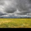 Vești bune pentru agricultori: cantități însemnate de precipitații în județul Vaslui