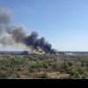 Incendiu devastator în „inima” Bucureştiului. Focul a cuprins o mie de metri pătrați, în Delta Văcăreşti! (VIDEO)