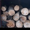 Bărbat din Sucevița, prins în timp ce transporta lemne pentru gater și de foc fără a avea acte