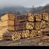 Confiscări de aproape 350 mc de materiale lemnoase în urma unui control efectuat de către Garda Forestieră Suceava la doi operatori economici din Brodina