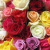 Florile și Ziua Internațională a Femeii