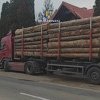 Patru transporturi ilegale de material lemnos identificate în doar 2 ore de către polițiști