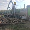 Peste 80 de metri cubi de lemn în valoare de 22.000 lei confiscați și amenzi în valoare de 13.000 lei aplicate de polițiști unor firme din Putna și Volovăț