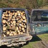 Polițiștii din Marginea au confiscat de la un bărbat din Sucevița 3,12 mc lemn foc tăiat ilegal