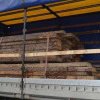 Transport ilegal de lemn depistat la Bilca