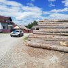Trei firme de prelucrare a lemnului din zona Dornelor au fost amendate în urma unor ample controale ale Poliției