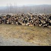 Unui bărbat din Ciocănești i s-au confiscat lemnele cumpărate de la un consătean care nu a avut acte pentru ele