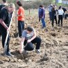 15.000 de puieți urmează să fie plantați în cadrul proiectului „Bihorul Plantează”