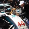 Povestea lui Roscoe, bulldogul vegan al campionului Lewis Hamilton