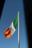 Referendum: irlandezii au decis să păstreze în Constituție sintagma „locul femeii este în casă”