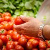 România produce cea mai curată mâncare din UE, însă importă masiv produse pline de pesticide din alte țări