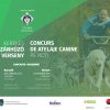 Concurs de Atelaje Canine pe roți la Borsec