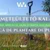 Covasna: 10.000 de puieţi de foioase plantaţi la Zălan, pe o suprafaţă de două hectare