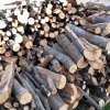 Transport ilegal de lemn la Reghin