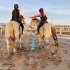 TulipRide, program de dezvoltare a motricităţii copiilor cu ajutorul cailor, la Covasna