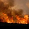 Descoperire șocantă în zona unui incendiu de vegetaţie din Bistrița-Năsăud: un bărbat de aproximativ 80 de ani a fost găsit mort