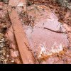 Dezastrul ecologic din Bihor se extinde: Poluarea provenită după prăbușirea unei galerii de mină are 17 km