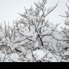 Iarna s-a întors la munte: strat de zăpadă record și risc mare de avalanșă. Ce zone trebuie să evite turiștii - VIDEO