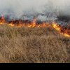 Incendiu devastator într-o pădure din Prahova. Pompierii, nevoiți să meargă un kilometru pe jos pentru a ajunge la zona afectată