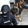 Poliția Română, mobilizare de la prima oră: 140 de percheziții în mai multe dosare penale - trafic de droguri, pornografie infantilă, evaziune fiscală