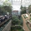 Mii de sud-coreeni la coadă la grădina zoologică, să-și ia la revedere de la un urs panda care va fi trimis să trăiască în China