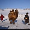 Mongolia, lovită de cea mai grea iarnă din ultimii 50 de ani: milioane de animale au murit, mii de oameni, la limita supraviețuirii