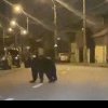 Urs filmat alergând pe străzile din Ploiești, mesaj RO-Alert la 2 noaptea: „Nu încercați să vă fotografiați cu el!”