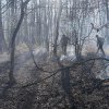 Incendiu la Bocșa. Zeci de oameni au luptat cu focul