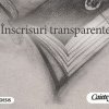 „Înscrisuri transparente”, un volum semnat de Viorica Mureșan